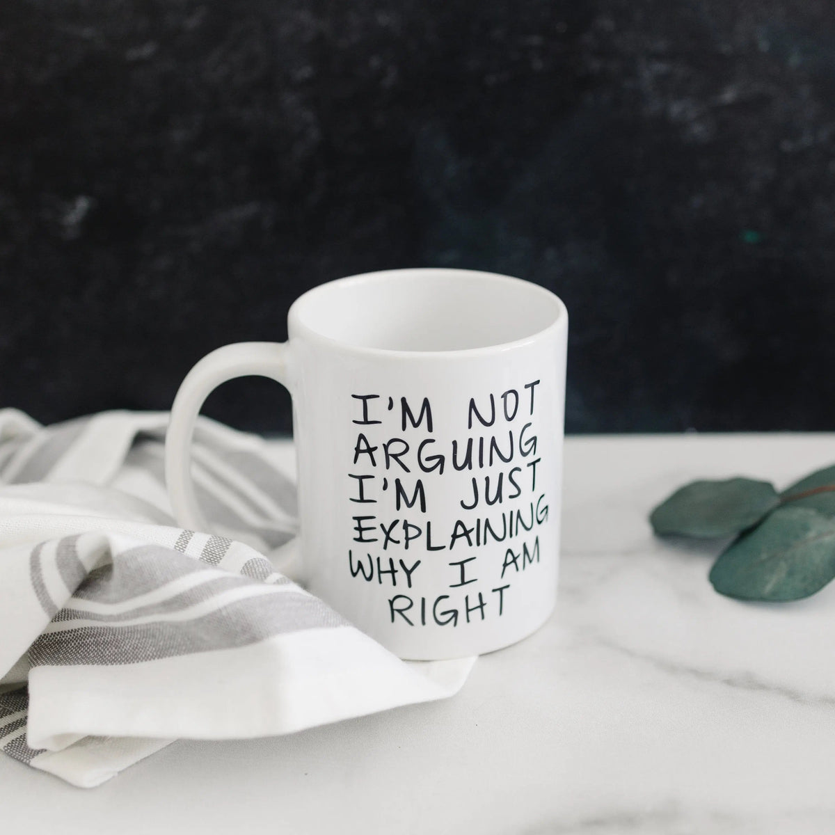 I'm Not Arguing, I'm Explaining Mug